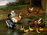 Edgar Hunt Canvas Paintings - Chickens, Ducks and Ducklings Paddling